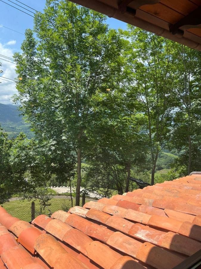 Apartamentos La Cabana Del Cerro Alto Beceña エクステリア 写真